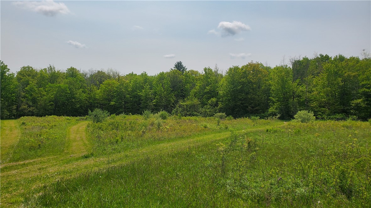11851 County Route 122 Road, Prattsburgh, New York image 34