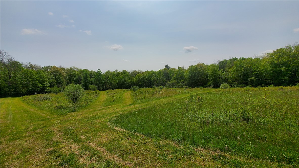 11851 County Route 122 Road, Prattsburgh, New York image 38