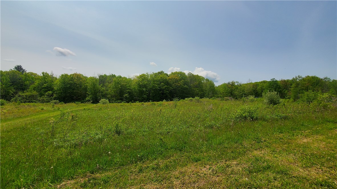 11851 County Route 122 Road, Prattsburgh, New York image 36