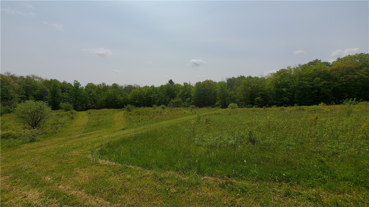 11851 County Route 122 Road, Prattsburgh, New York image 35