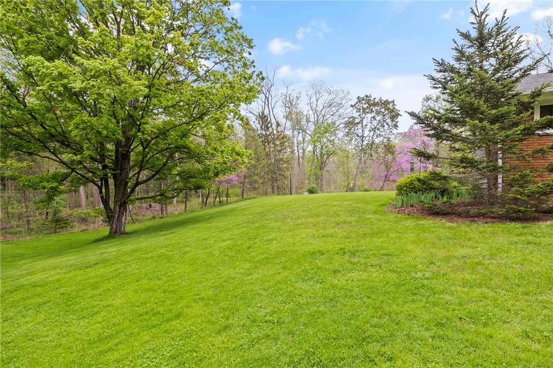 1131 Wall Road, Webster, New York image 38