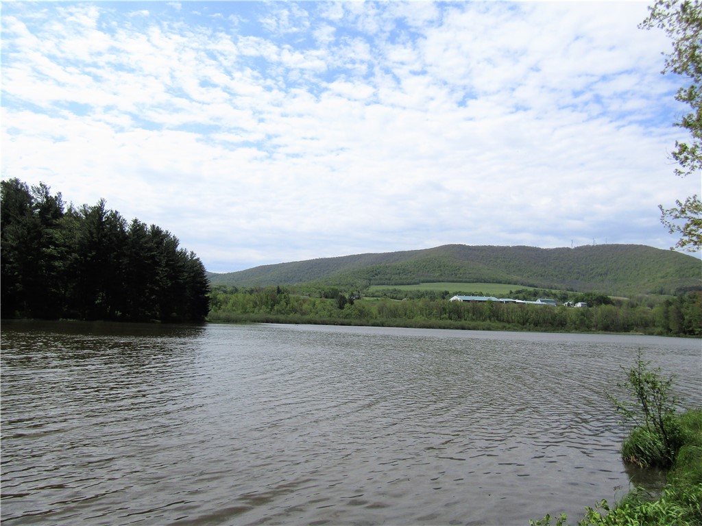 125 Mayhem Pond Drive, Gilboa, New York image 15