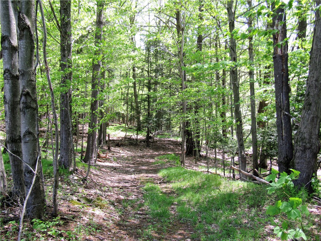 125 Mayhem Pond Drive, Gilboa, New York image 10