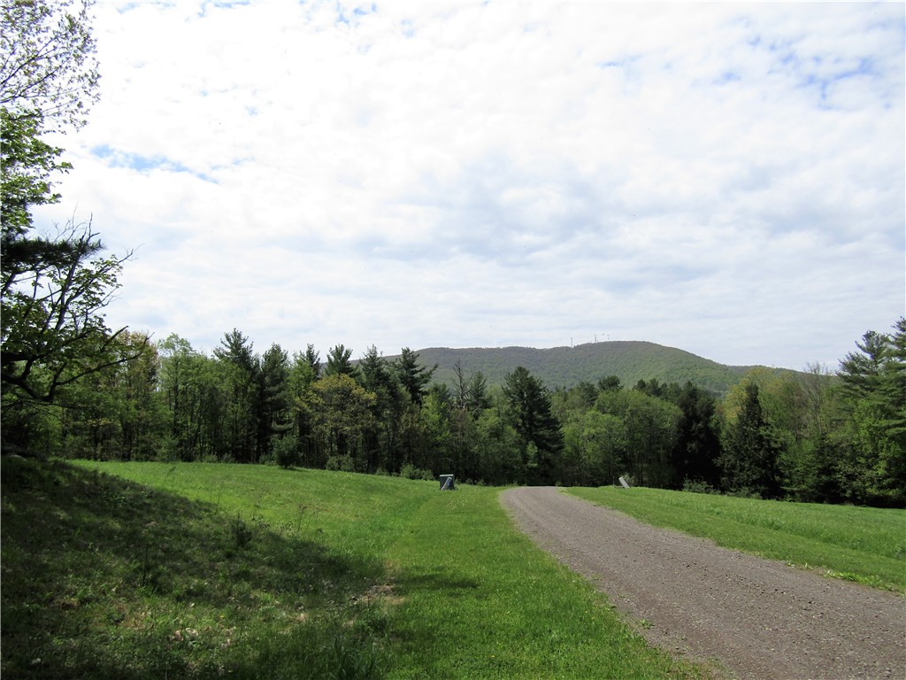 125 Mayhem Pond Drive, Gilboa, New York image 25