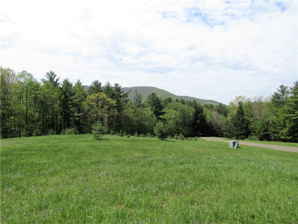 125 Mayhem Pond Drive, Gilboa, New York image 22