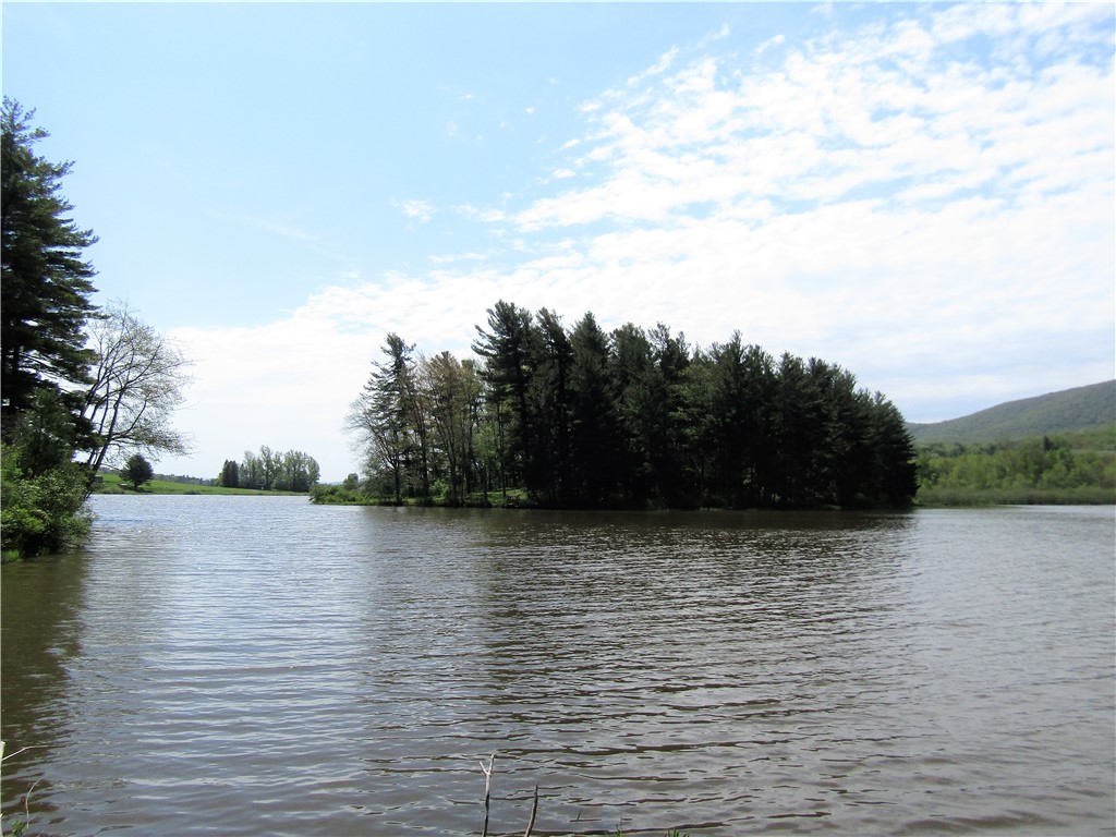 125 Mayhem Pond Drive, Gilboa, New York image 14