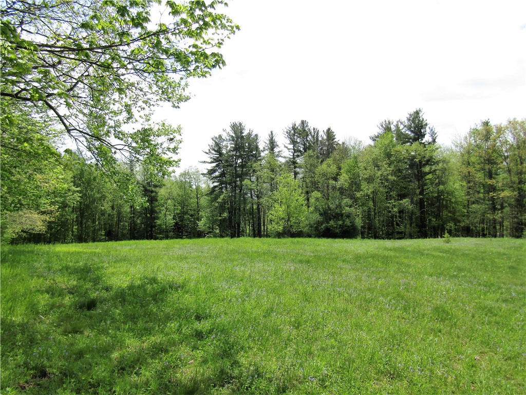 125 Mayhem Pond Drive, Gilboa, New York image 23