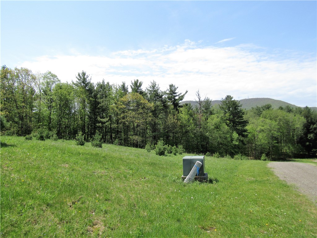 125 Mayhem Pond Drive, Gilboa, New York image 6