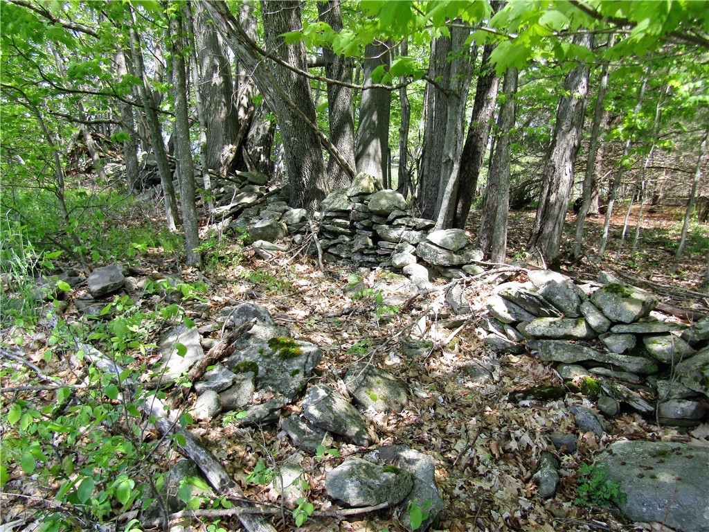 125 Mayhem Pond Drive, Gilboa, New York image 7
