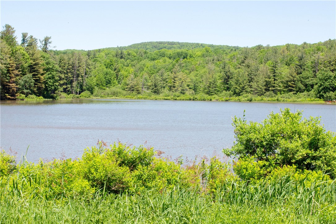 125 Mayhem Pond Drive, Gilboa, New York image 28