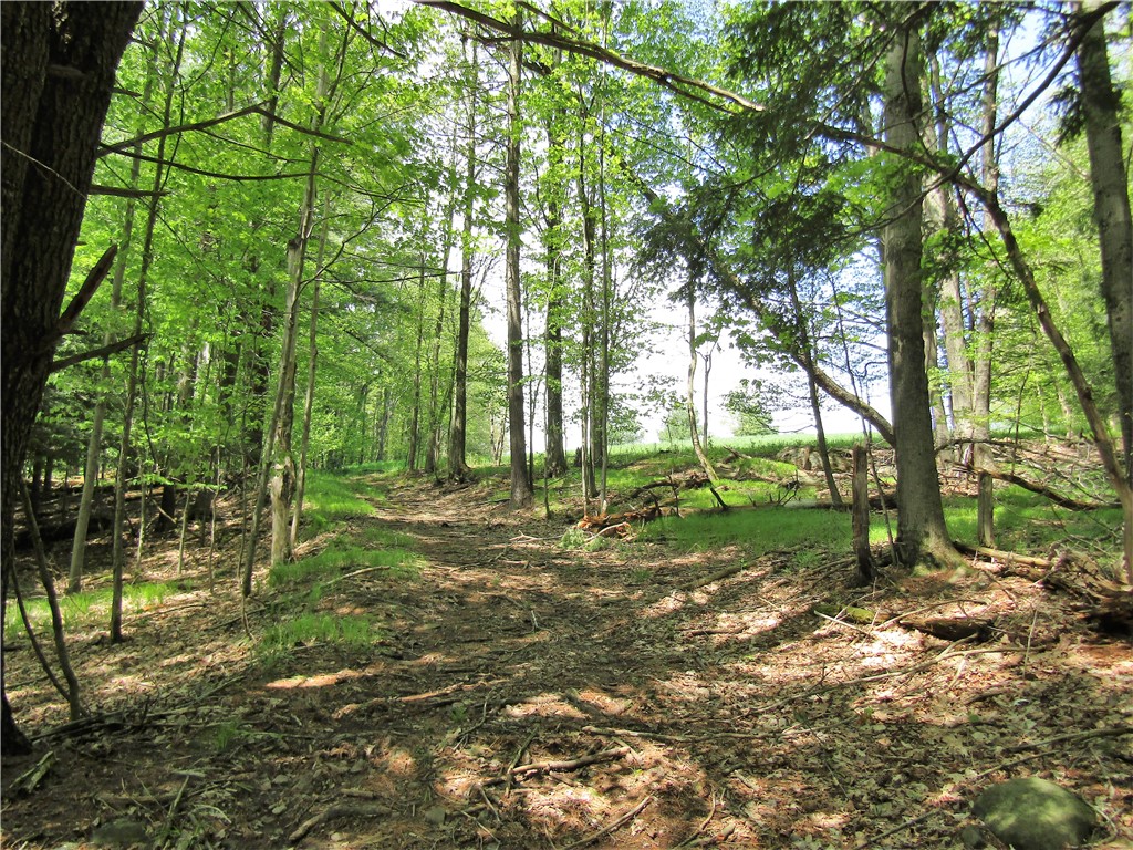 125 Mayhem Pond Drive, Gilboa, New York image 18