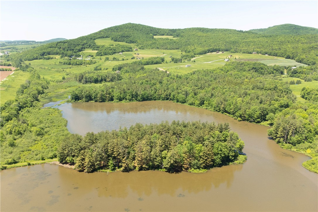 125 Mayhem Pond Drive, Gilboa, New York image 31