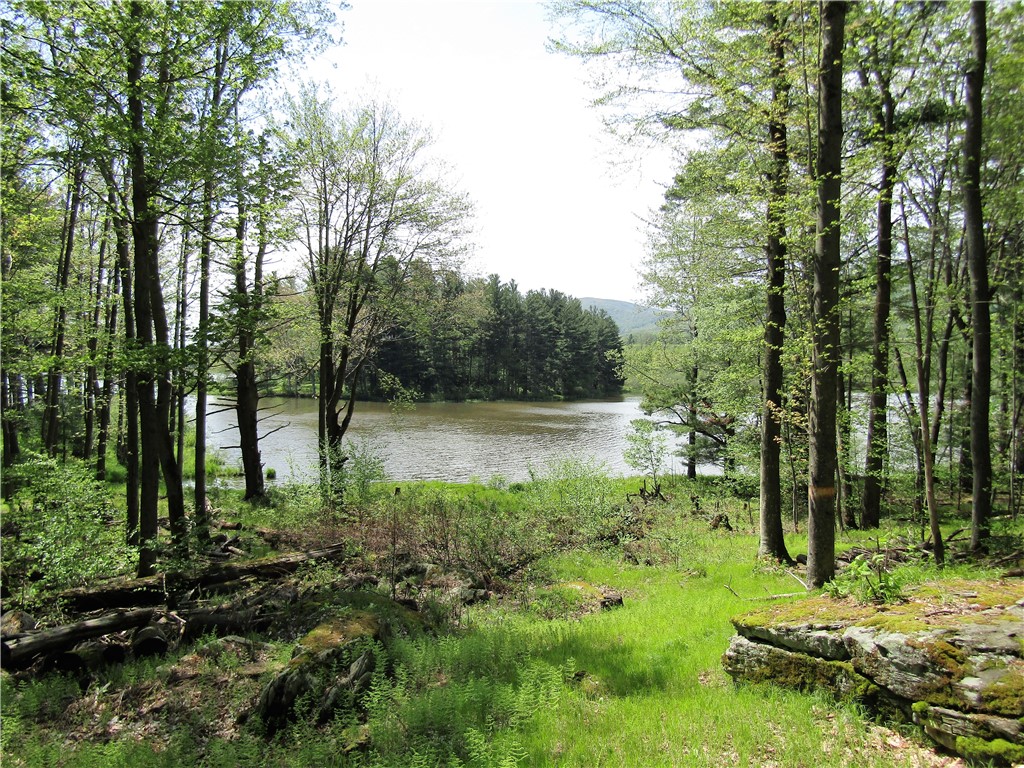 125 Mayhem Pond Drive, Gilboa, New York image 11