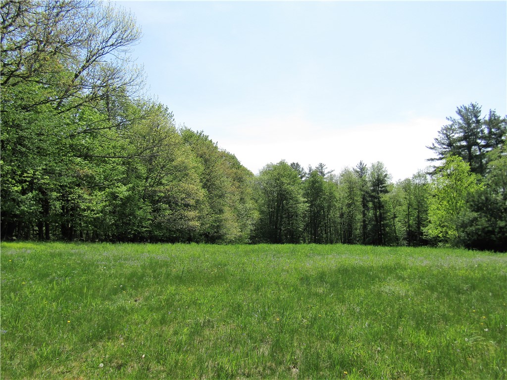 125 Mayhem Pond Drive, Gilboa, New York image 5