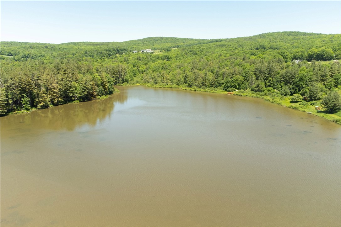 125 Mayhem Pond Drive, Gilboa, New York image 29
