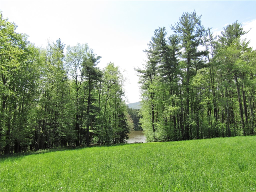 125 Mayhem Pond Drive, Gilboa, New York image 8