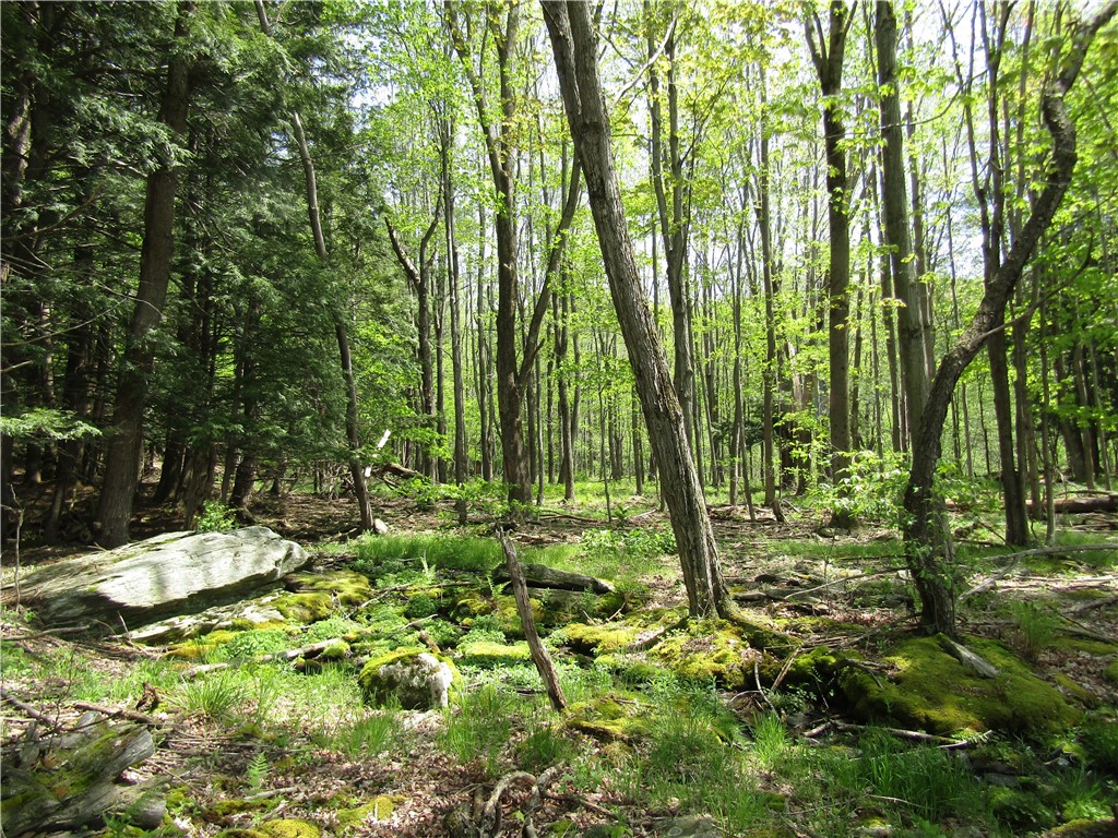 125 Mayhem Pond Drive, Gilboa, New York image 16