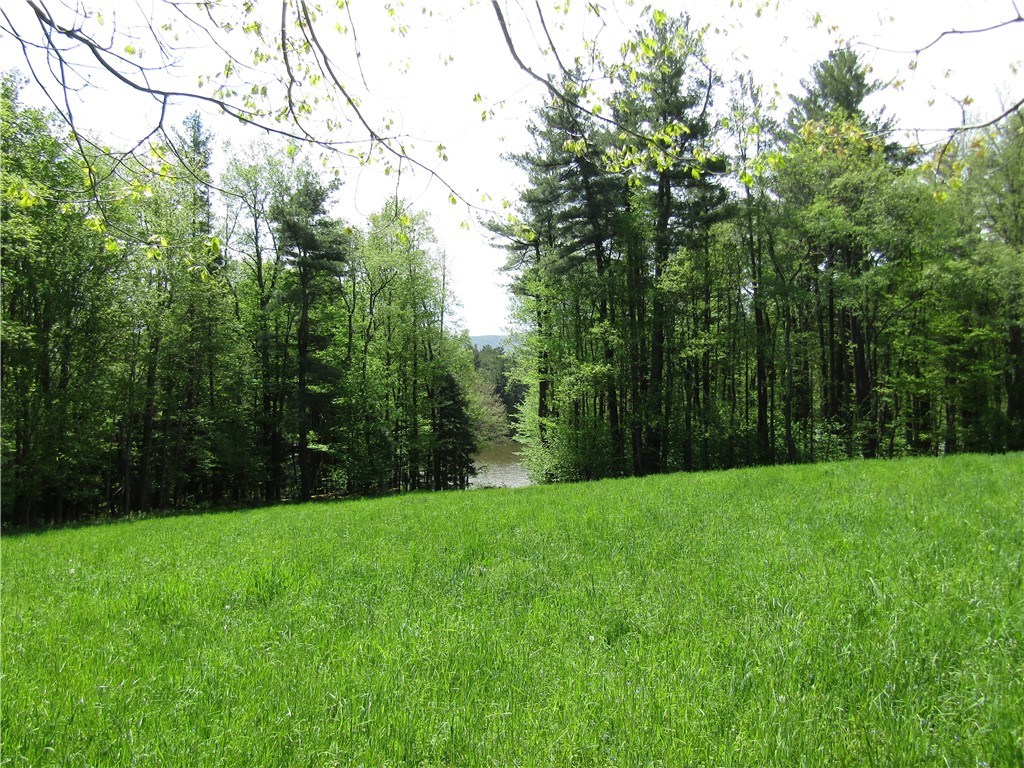 125 Mayhem Pond Drive, Gilboa, New York image 21
