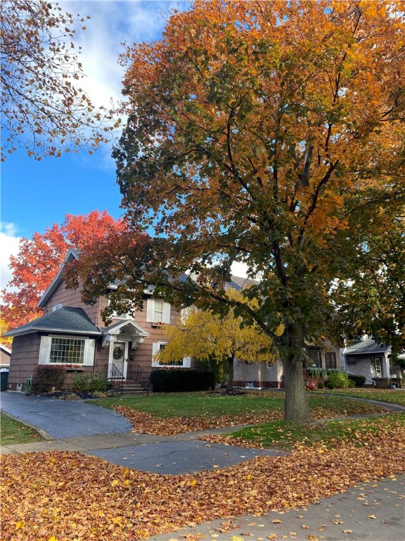 196 Elmcroft Road