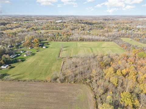 Tiny photo for 0000 Dewey, Manchester, NY 14548 (MLS # R1648571)