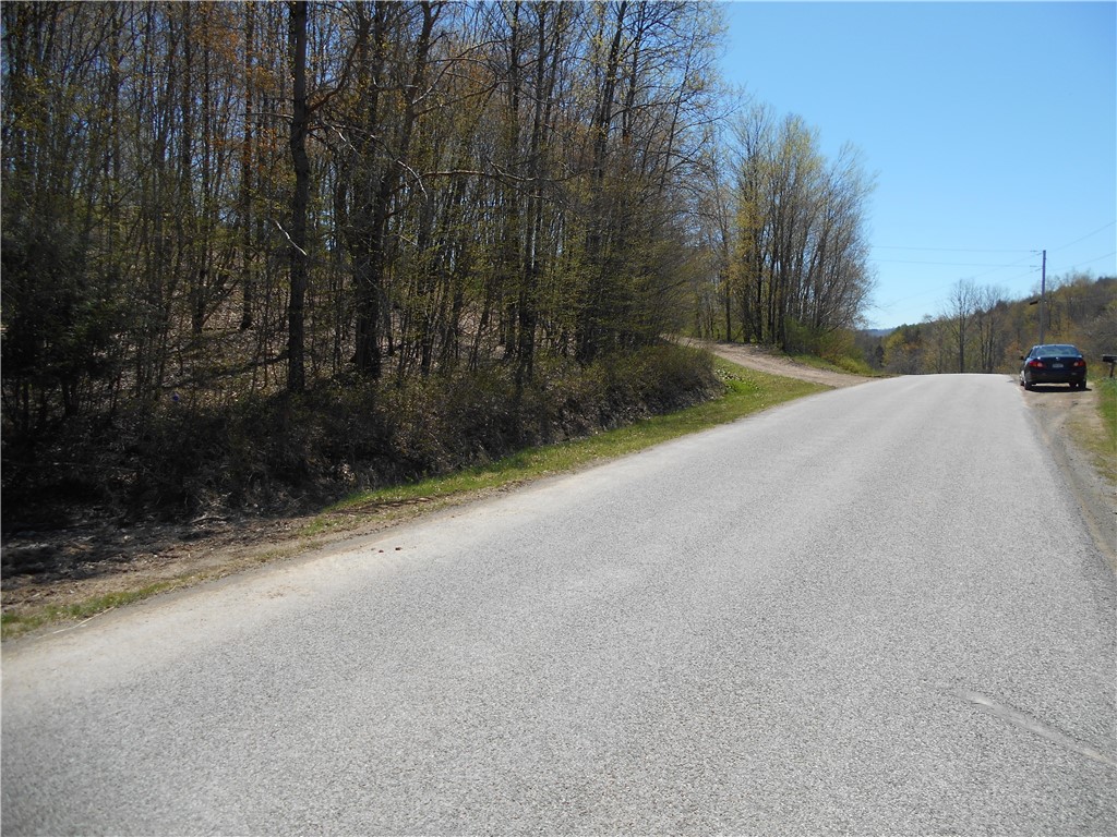 2430 Pine Swamp Road, Masonville, New York image 6