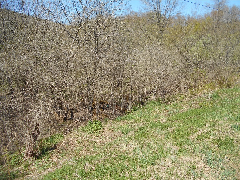 2430 Pine Swamp Road, Masonville, New York image 4