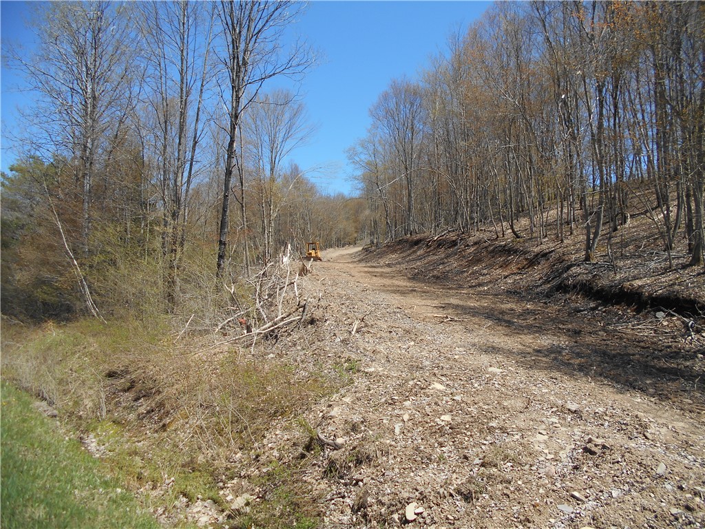 2430 Pine Swamp Road, Masonville, New York image 1