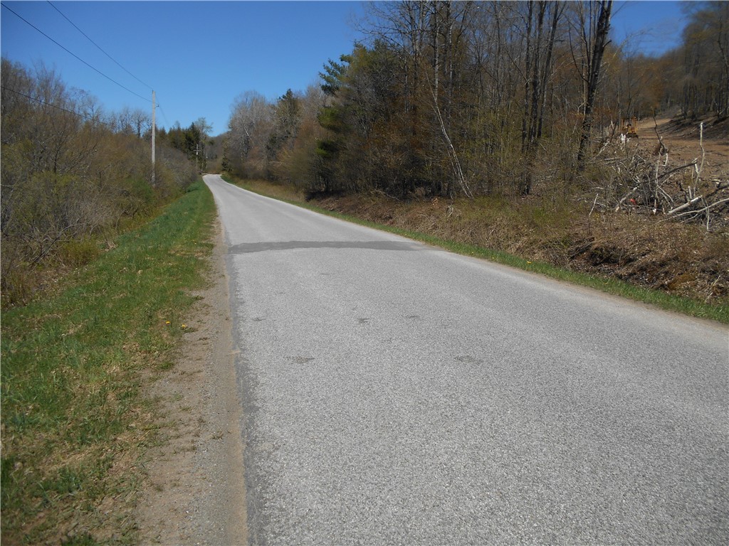 2430 Pine Swamp Road, Masonville, New York image 5