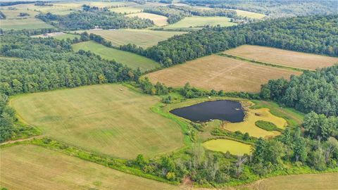 Vacant Land For Sale - LOT #5 Waits<br/> Owego, NY 13827