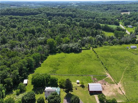 Homes For Sale - 3593 State Route 14<br/> Wayne County, Lyons, NY 14489