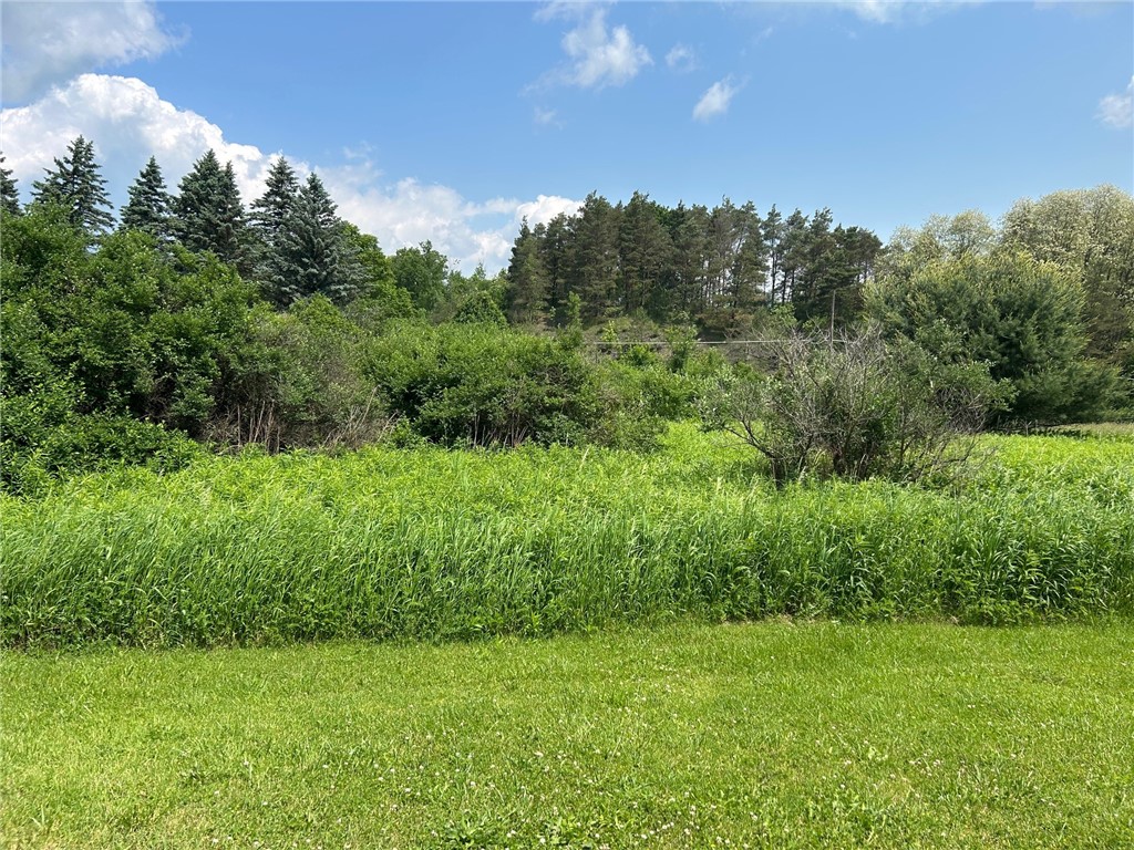 Clark Rd Extension, Almond, New York image 1