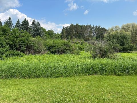Vacant Land For Sale - Clark Rd Extension<br/> Allegany County, Almond, NY 14803