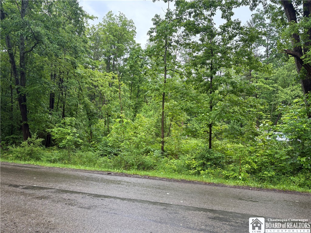 Photo 1 of 16 — Scott Road, Carroll, NY 14738