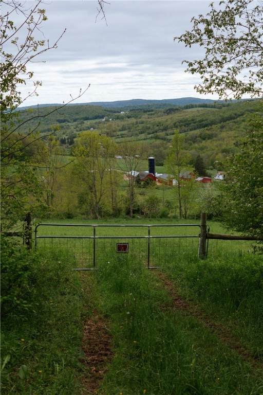 2400 Gladstone Hollow Road, Andes, New York image 32