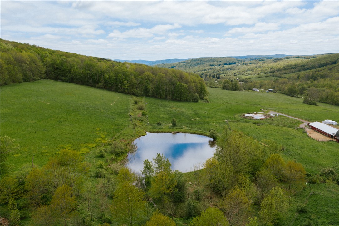 2400 Gladstone Hollow Road, Andes, New York image 6