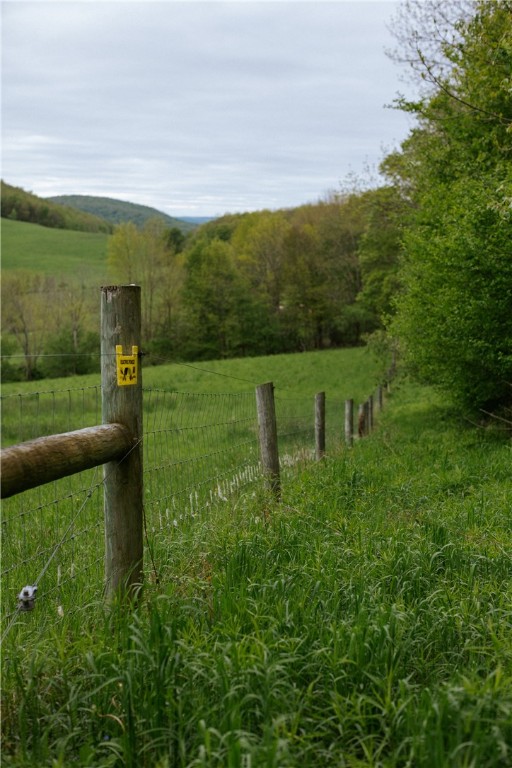2400 Gladstone Hollow Road, Andes, New York image 33