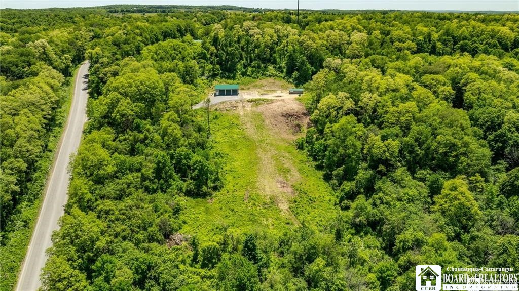 7990 Thayer Road, Portland, New York image 1