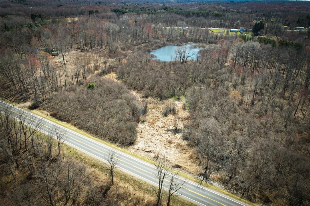 Mason Road, New Haven, New York image 27