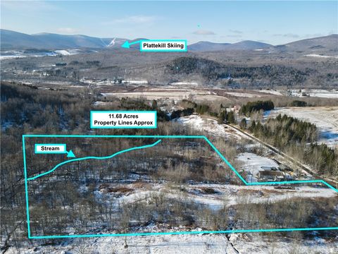 Vacant Land For Sale - 480 Hall Road<br/> Delaware County, Roxbury, NY 12474