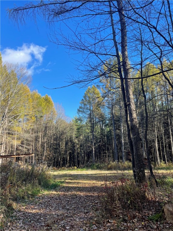 Carney Hollow Road, Springwater, New York image 4