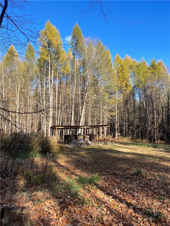 Carney Hollow Road, Springwater, New York image 7