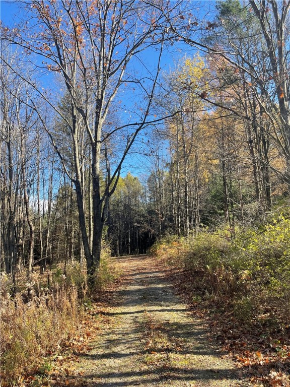 Carney Hollow Road, Springwater, New York image 2