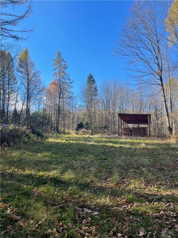 Carney Hollow Road, Springwater, New York image 10