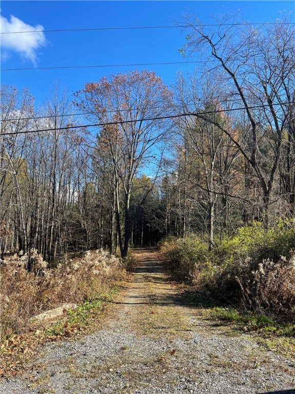 Carney Hollow Road, Springwater, New York image 1