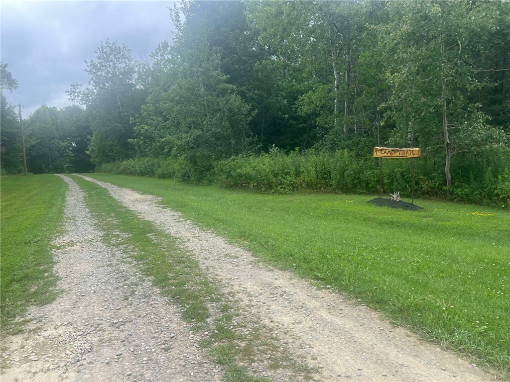 Lyons Hollow Road, Prattsburgh, New York image 18