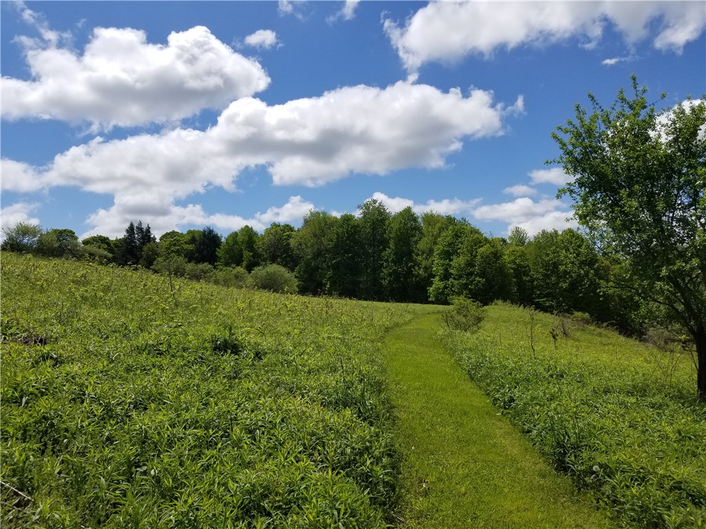 7404 Bonney Hill Road, Hamilton, New York image 49