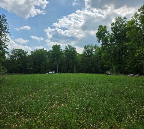 Vacant Land For Sale - 6221 Cleary Road<br/> Livonia, NY 14487
