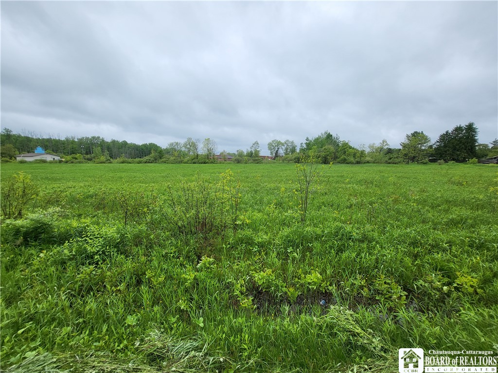 Dredge Road, Dayton, New York image 6