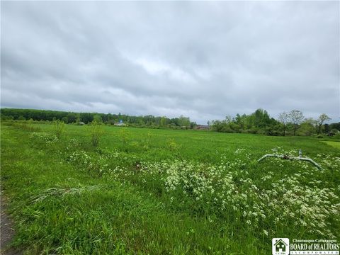 Vacant Land For Sale - Dredge Road<br/> Dayton, NY 14138