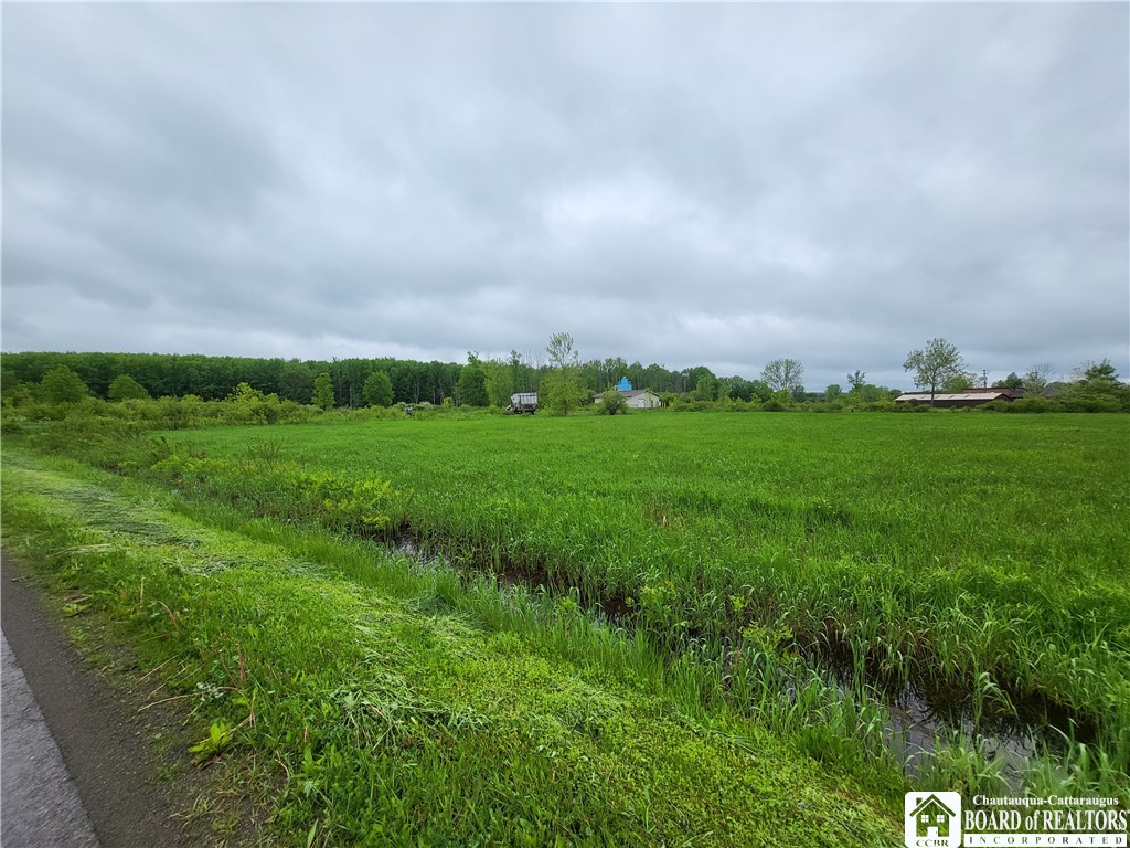 Dredge Road, Dayton, New York image 3